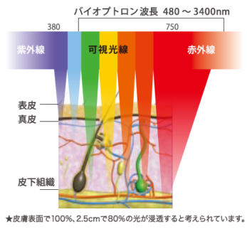 NEW☆ バイオプトロン2 (BIOPTRON 2) | 株式会社アグレックス (美容