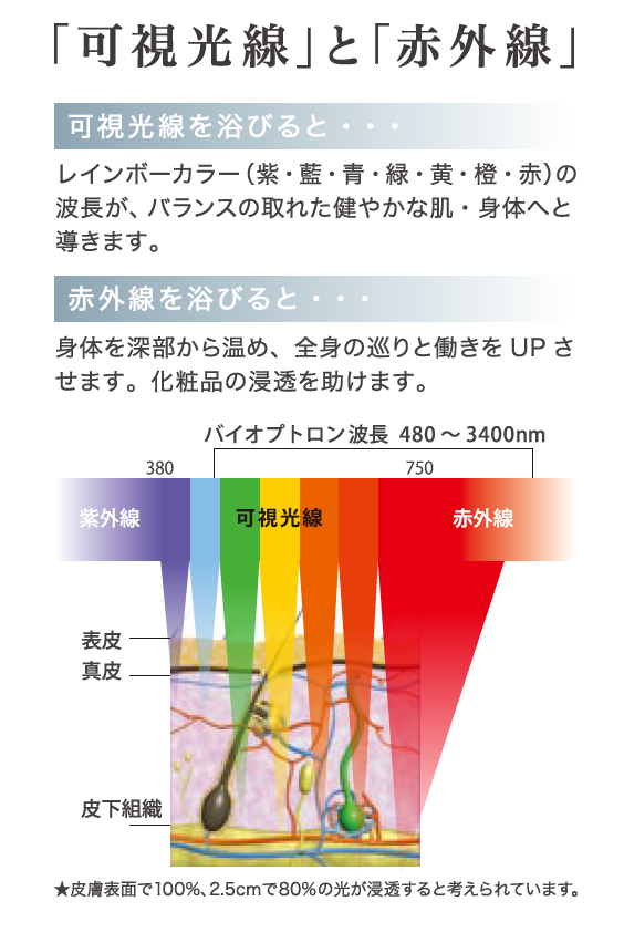 バイオプトロン プロ1 Bioptron Pro1 株式会社アグレックス 美容機器 業務用脱毛機 バイオプトロン バイオプトロン プロ1 Bioptron Pro1 株式会社アグレックス 美容機器 業務用脱毛機 バイオプトロン